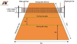 hướng dẫn sử dụng lưới bóng chuyền da nam cao bao nhiêu
