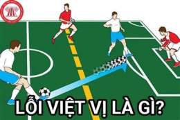 hướng dẫn sử dụng motm là gì trong bóng đá