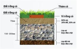 hướng dẫn sử dụng nền đá bóng
