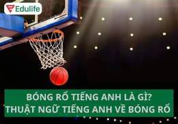 hướng dẫn sử dụng rổ bóng xem bóng đá
