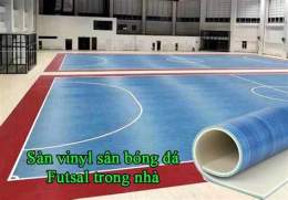 hướng dẫn sử dụng sân bóng đá trong nhà