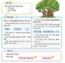 hướng dẫn sử dụng tả cây bóng mát lớp 4 cây đa