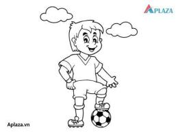 hướng dẫn sử dụng tô màu đá bóng