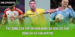 hướng dẫn sử dụng top ghi ban bong da