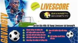 hướng dẫn sử dụng truc tiep bong da gavangtv