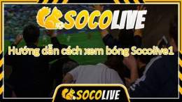 hướng dẫn sử dụng trực tiếp bóng đá ra khơi