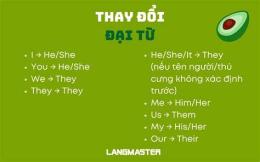 hướng dẫn sử dụng tường thuật bóng đá anh pháp