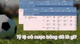 hướng dẫn sử dụng tỷ lệ bóng đá tbn