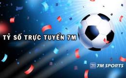 hướng dẫn sử dụng ty le truc tuyen bong da 7m