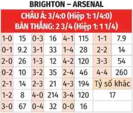hướng dẫn sử dụng tỷ số bóng đá brighton