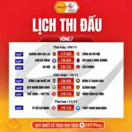 hướng dẫn sử dụng việt nam bóng đá lịch