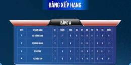 hướng dẫn sử dụng xếp hạng bóng đá aff cup