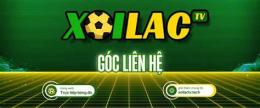 hướng dẫn sử dụng xoilac bóng đá tv