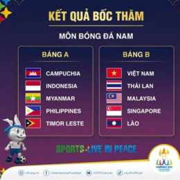 kết quả bóng đá singapore và indonesia