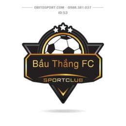 logo quả bóng đá