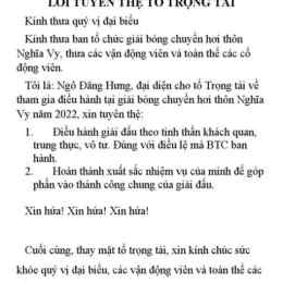 lời tuyên thệ của trọng tài bóng đá