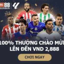 m88 bóng đá