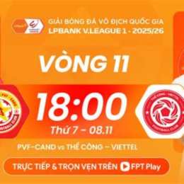 nhận đinh bóng đá plus