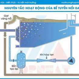 nổi bóng nước trên da