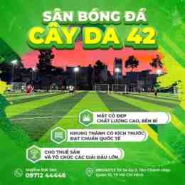 sân bóng cây da 42