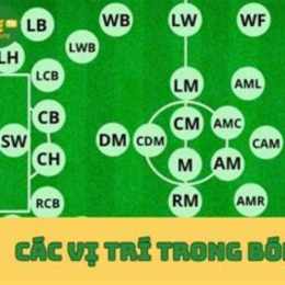 tất cả các vị trí trong bóng đá