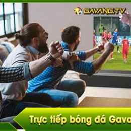 the vàng tv trực tiếp bóng đá