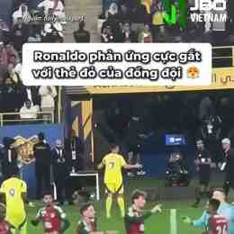 thethao24h bóng đá