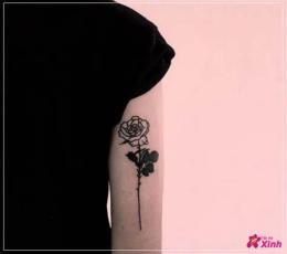 tính năng nổi bật 16 em xăm bông hồng lên da lyrics