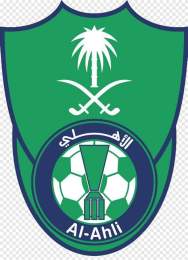 tính năng nổi bật al-ahli saudi – câu lạc bộ bóng đá al najma