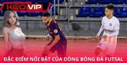 tính năng nổi bật bóng đá futsal việt