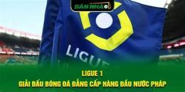tính năng nổi bật bóng đá pháp ligue 1