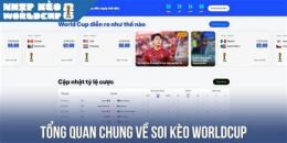tính năng nổi bật bóng đá world cup kèo nhà cái