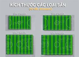 tính năng nổi bật các loại sân bóng đá