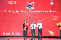 tính năng nổi bật chủ tịch câu lạc bộ bóng đá ninh bình