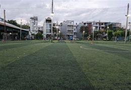 tính năng nổi bật công ty tnhh sân bóng đá ops