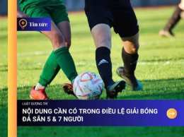 tính năng nổi bật điều lệ giải bóng đá 7 người