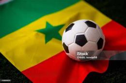 tính năng nổi bật đội tuyển bóng đá quốc gia senegal