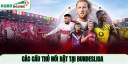 tính năng nổi bật giải bóng đá bundesliga