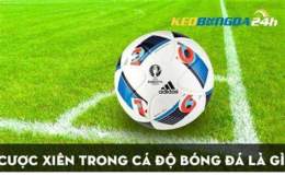 tính năng nổi bật kèo bóng đá aff cup tối nay
