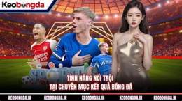 tính năng nổi bật kết quả bóng đá pauli