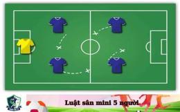 tính năng nổi bật luật bóng đá mini 5 người