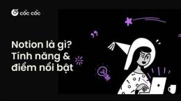 tính năng nổi bật râu con là gì trong bóng đá