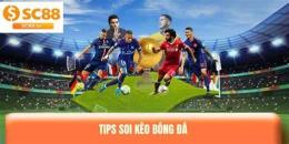 tính năng nổi bật soi keo bong dá