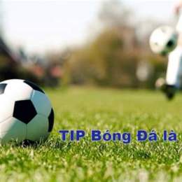 típ bóng đá
