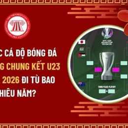 tổ chức cá độ bóng đá đi tù bao nhiêu năm