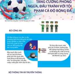 tội cá độ bóng đá