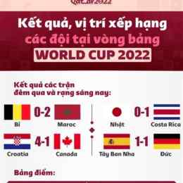 tổng hợp kết quả bóng đá world cup