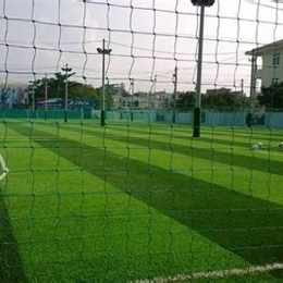 trang bóng đá lậu