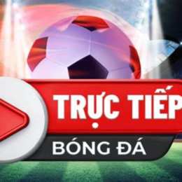 truc tiep bong da socolive blv leo