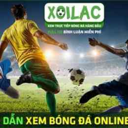 tường thuật bóng đá brazil
